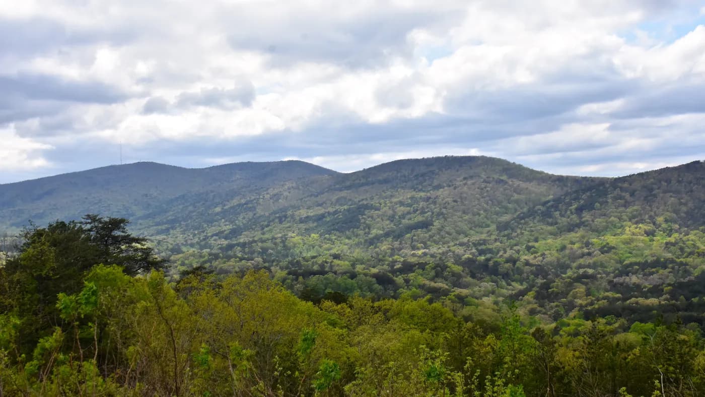 Cheaha Mountain near Piedmont, Alabama